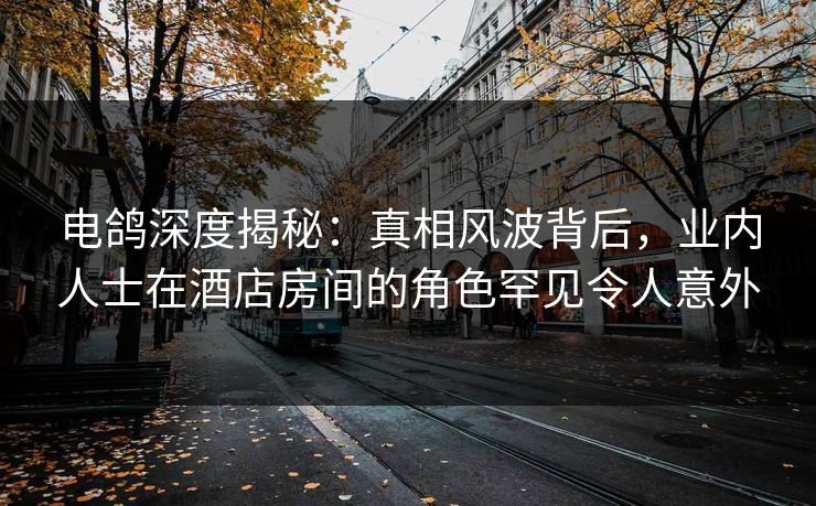 电鸽深度揭秘：真相风波背后，业内人士在酒店房间的角色罕见令人意外