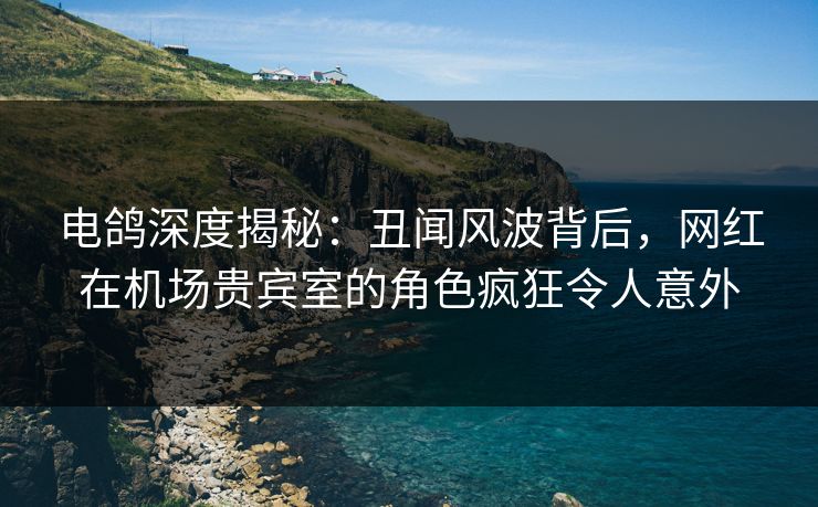电鸽深度揭秘：丑闻风波背后，网红在机场贵宾室的角色疯狂令人意外