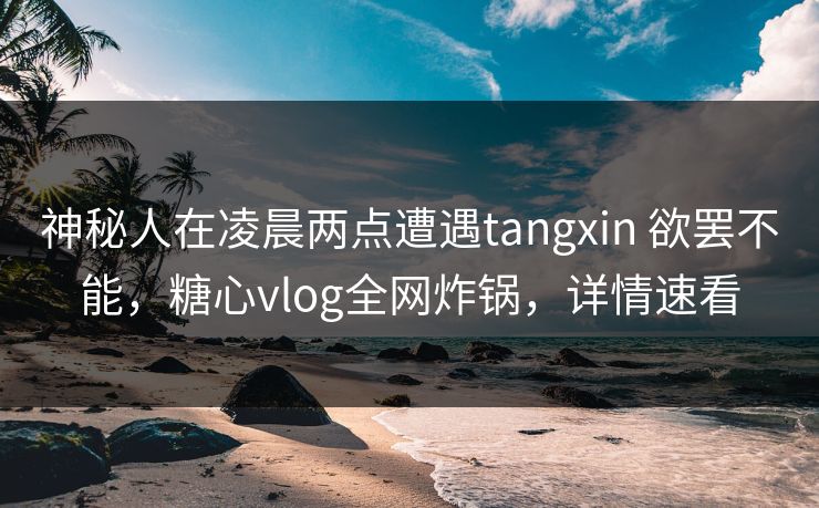 神秘人在凌晨两点遭遇tangxin 欲罢不能,糖心vlog全网炸锅,详情速看 神秘人在凌晨两点遭遇tangxin 欲罢不能,糖心vlog全网炸锅,详情速看